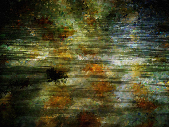 Leaves Under Water by J. Gracey Stinson