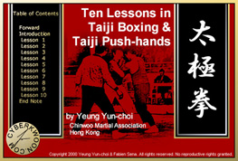 book cover for Ten Lessons in Taiiji Boxing and Taiji Push-hands, Vol. 2, e-book version