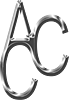 the ACC, Artists Collaboration Community