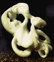 Sue Nees' alabaster - small linked gif