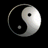 yin & yang, two expressions of the same dancing