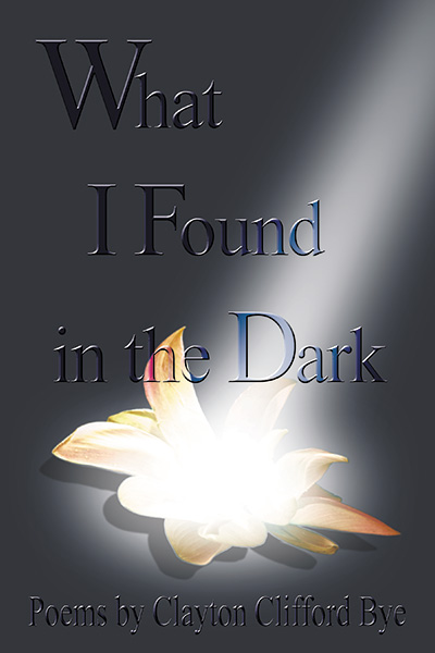 Front cover of What I Found in the Dark by Clayton Bye