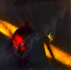 "Self" by tonyp, copyright 1999 tonyp, All Rights Reserved.